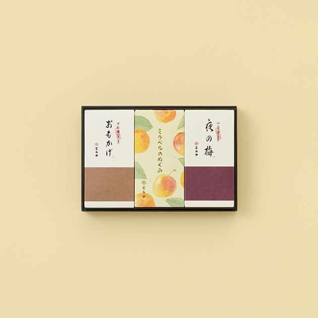虎屋 中形羊羹 3本入（夜之梅・面影・Mirabelle 黃李之恩惠）