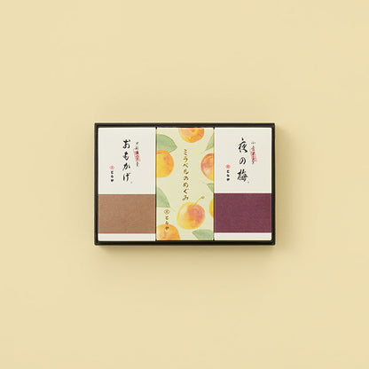 虎屋 中形羊羹 3本入（夜之梅・面影・Mirabelle 黃李之恩惠）