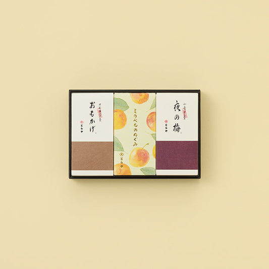 虎屋 中形羊羹 3本入（夜之梅・面影・Mirabelle 黃李之恩惠）