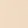 日本代購｜UNIQLO エアリズムシームレスショーツ/ヒップハンガー【37 BROWN / L】｜UNIQLO