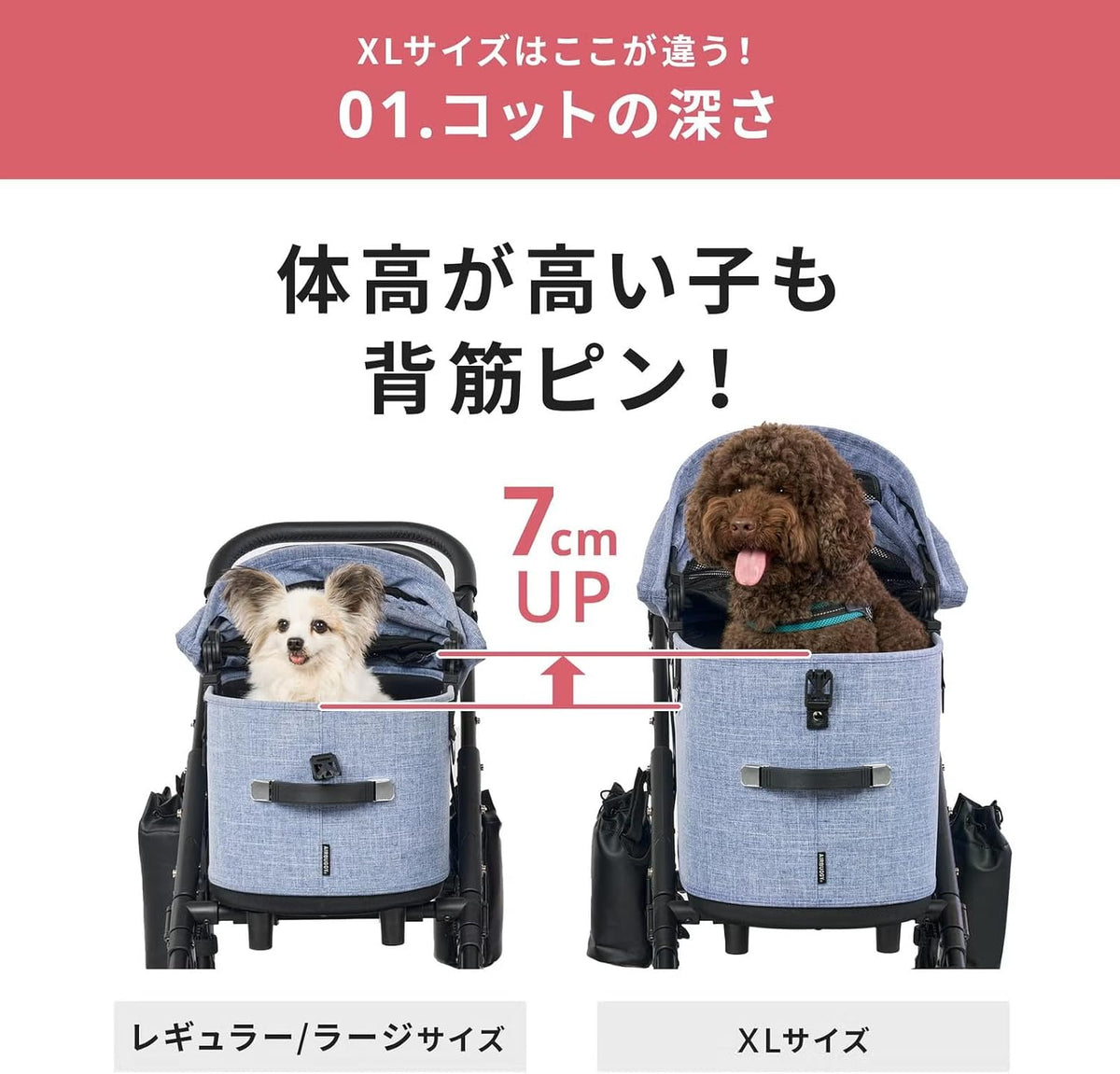 日本代購｜AIRBUGGY 寵物推車 - DOME3 SET XL 深度加深寵物推車｜Amazon JP