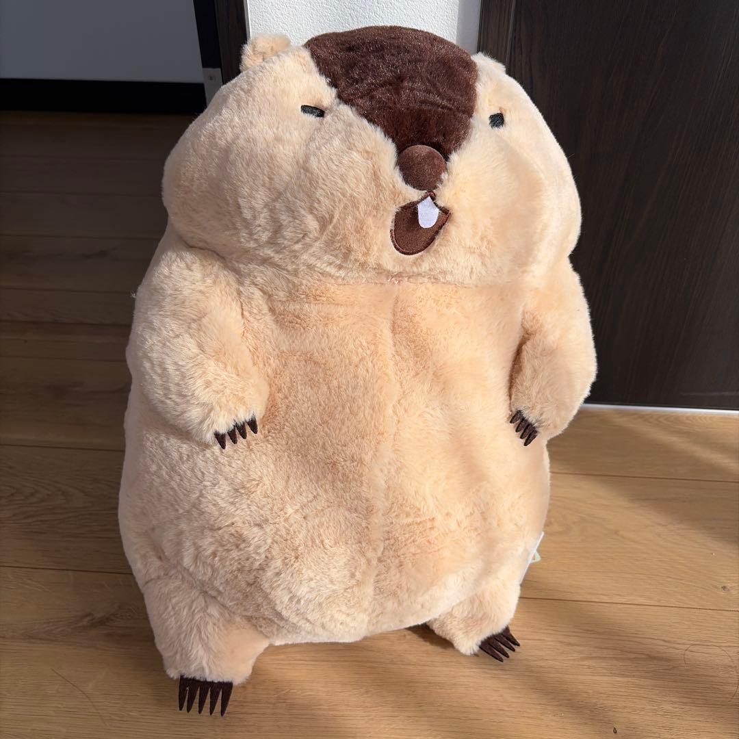 日本代購｜馬莫特 毛絨玩具｜Mercari