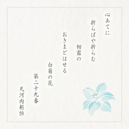 【佛事用】白菊花 化妝盒 (大)●化妝盒 (大)（43袋）