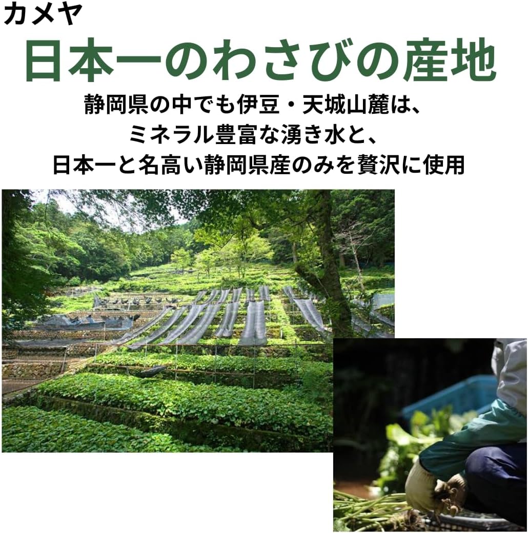 日本代購｜無品牌 調味料 - 全種わさび食べ比べ套裝｜Amazon JP