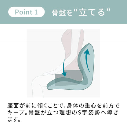 日本代購｜Style 椅子 - PREMIUM 系列 骨盆支撐椅｜Amazon JP