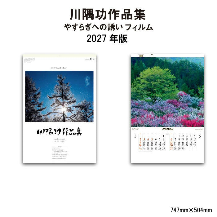 日本代購｜川隅功 壁掛式日曆 - 2027年 壁掛式日曆｜樂天