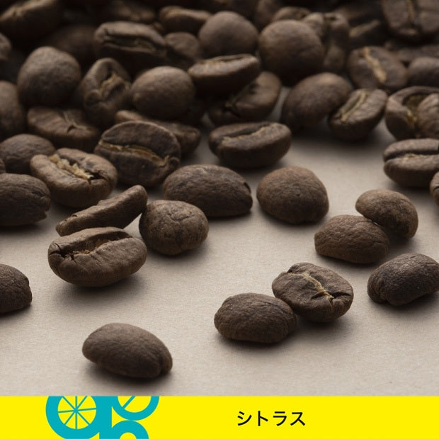 日本代購｜丸山咖啡 咖啡 - さわやかブレンド 丸山咖啡｜Maruyamacoffee