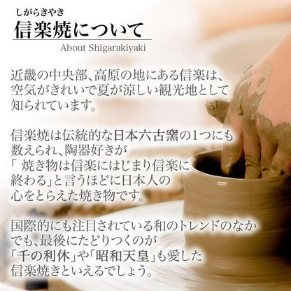 日本代購｜信楽焼 招き猫タヌキ 招きネコを被った狸 置物 可愛い 両手挙げ 陶器 プレゼント タヌキ おしゃれ  9号招き猫タヌキ ta-0431｜Shopping.yahoo