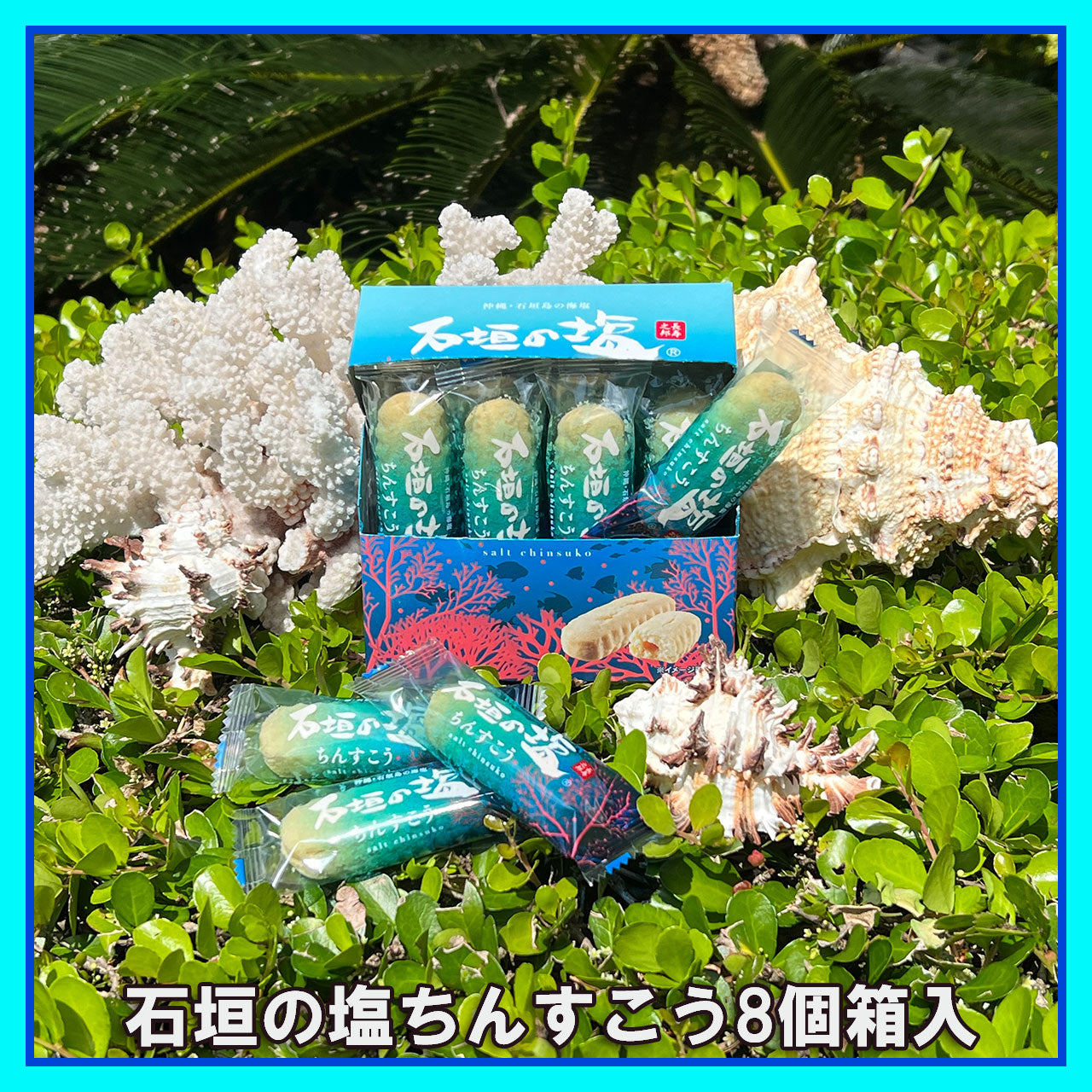 日本代購｜沖繩市場 點心 - 石垣的鹽ちんすこう 8個箱入｜Okinawa-ichiba