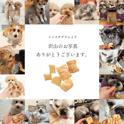 日本代購｜LAMAKENO 狗用零食 - 拉馬家有機犬用零食 100g｜Amazon JP