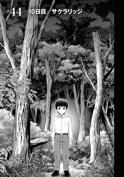 日本代購｜Fate/stay night [Heaven's Feel] (12) (角川コミックス・エース)｜Amazon JP