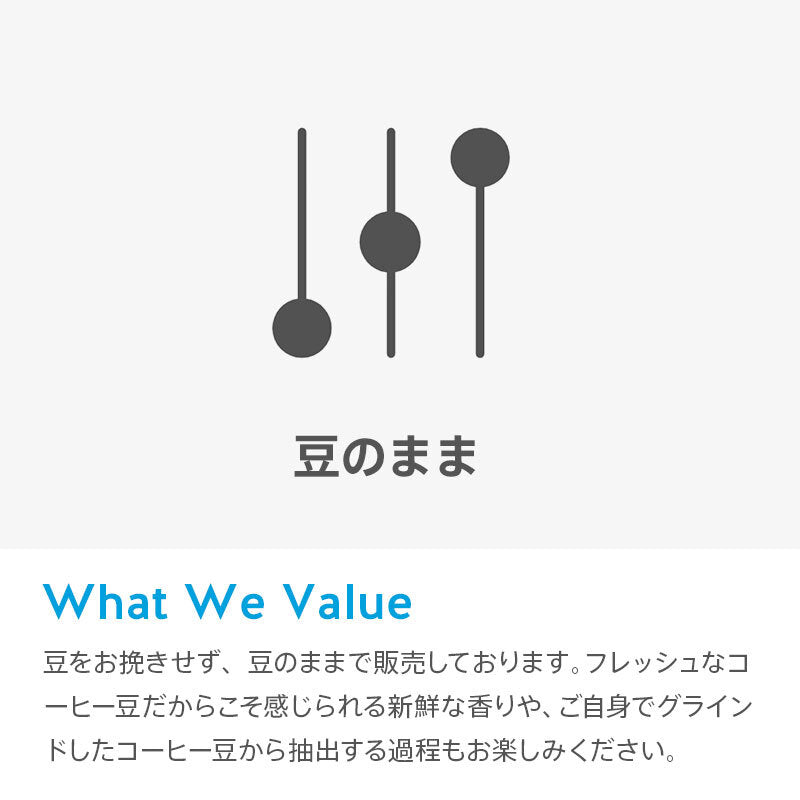 Blue bottle 藍瓶咖啡【定期便】Three Africas＆季節的單品咖啡