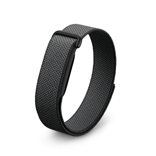 Google Fitbit Air