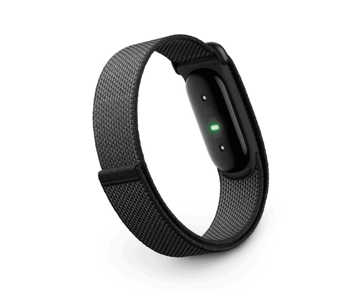 Google Fitbit Air