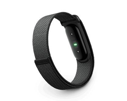 Google Fitbit Air